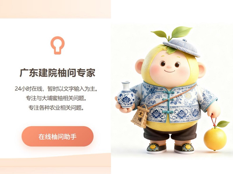 3.机电学院智慧农业团队设计的“柚问”智能体和大埔蜜柚娃娃形象.jpg