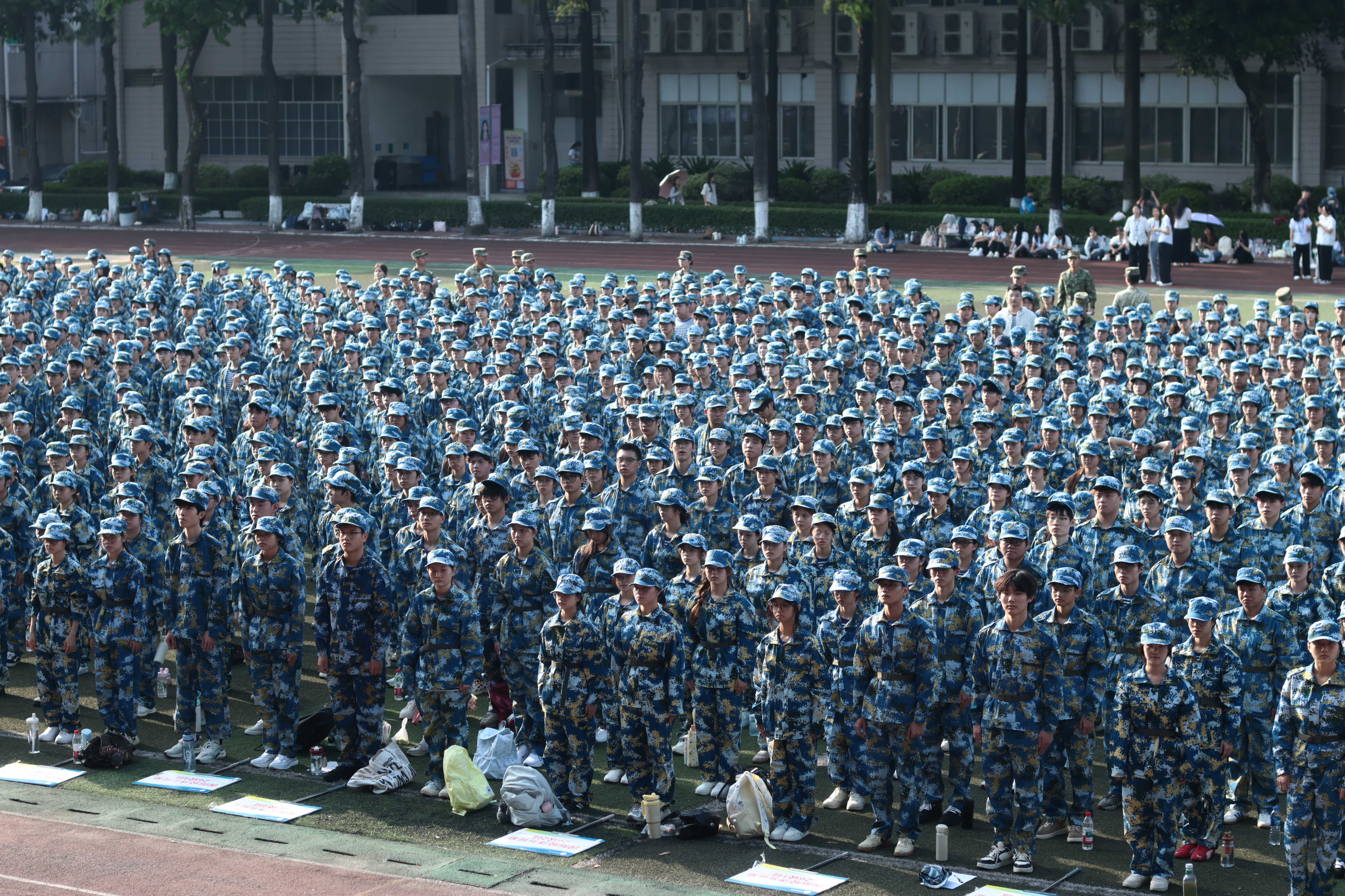 309A6589.JPG